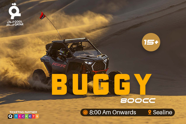 Buggy 800 CC