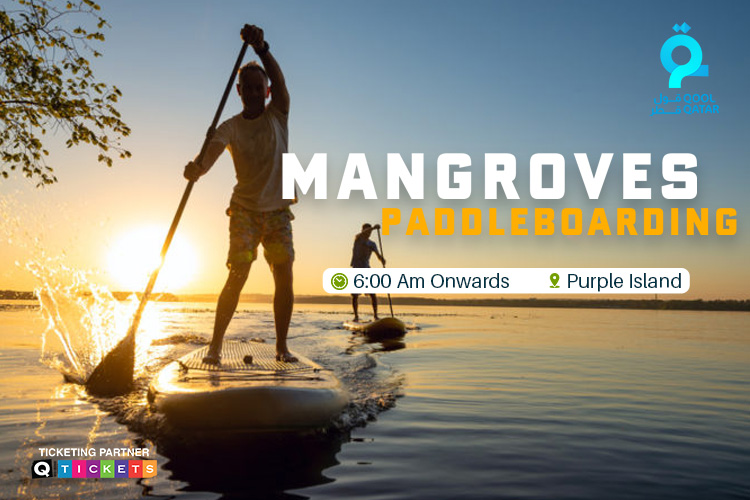 Mangroves paddleboarding