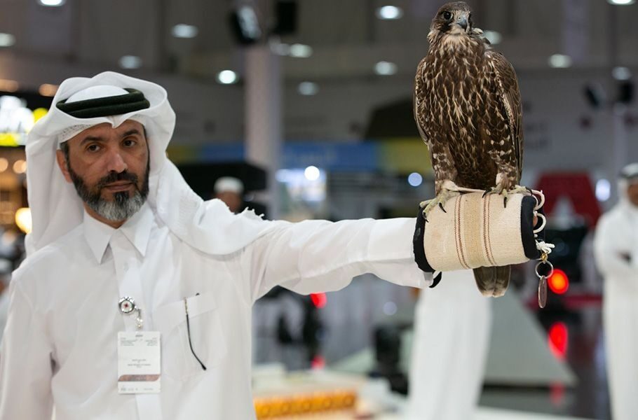 S'hail - Katara International Hunting & Falcons Exhibition 2025